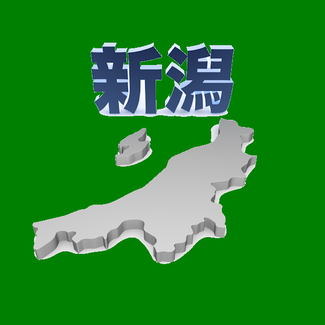 15新潟県全6区