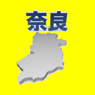 29奈良県全3区